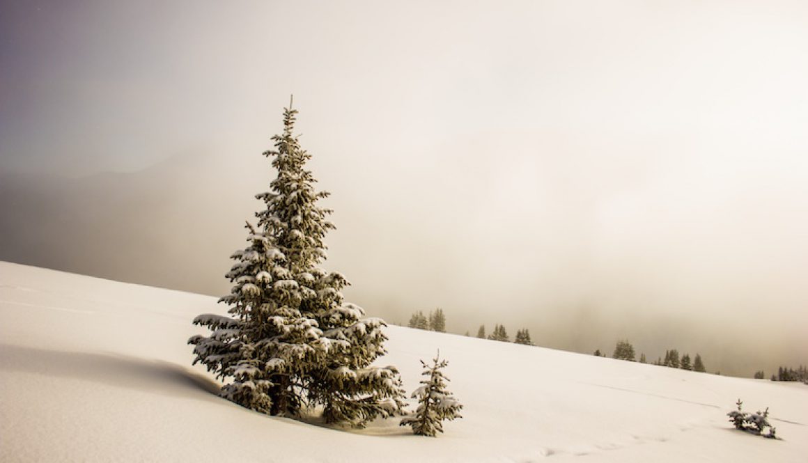 aQNy0za7x0k-lionello-delpiccolo-unsplash