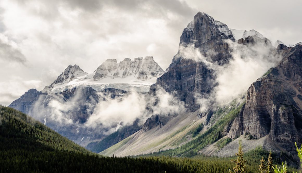 mkdI8JN6sDU-matheus-bandoch-unsplash